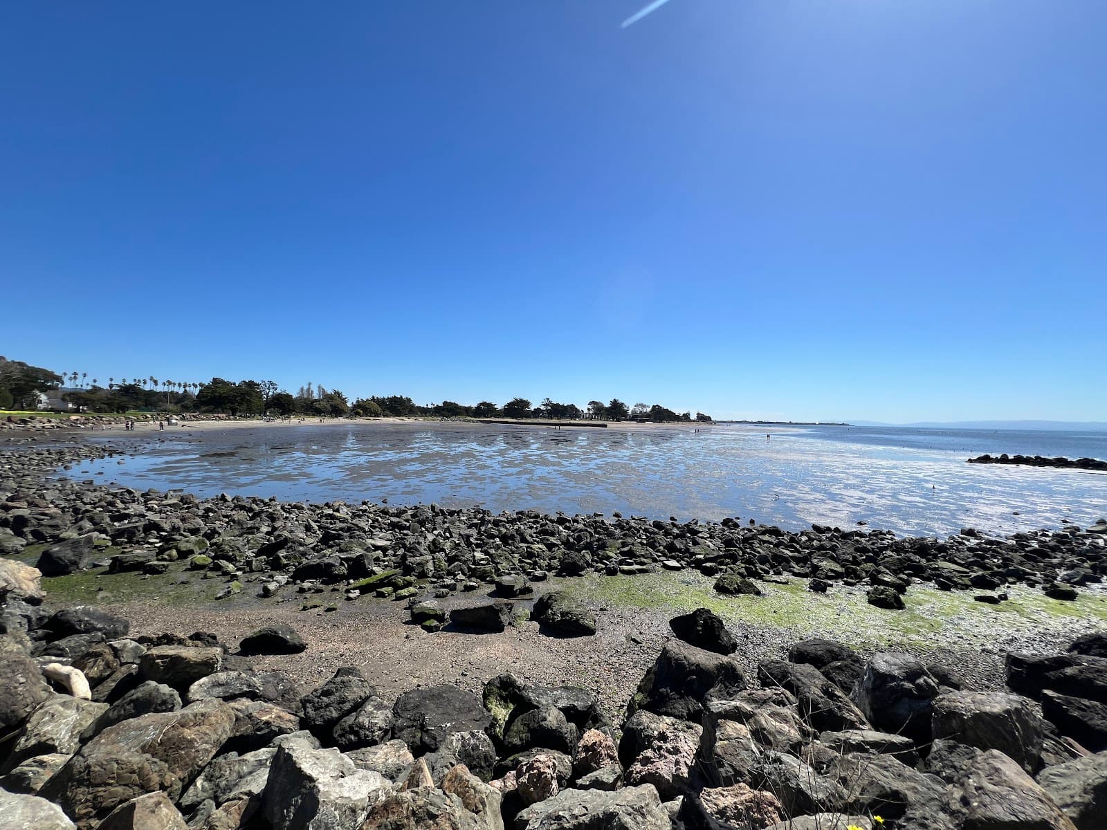 Crab Cove Marine Conservation Area - Image 1