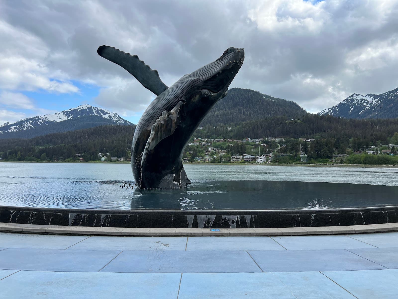 Overstreet Park Humpback Whale - Image 1