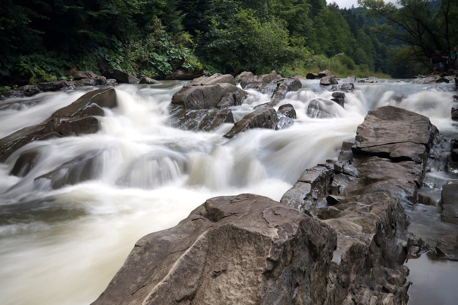 Sine Wiry Nature Reserve - Image 1