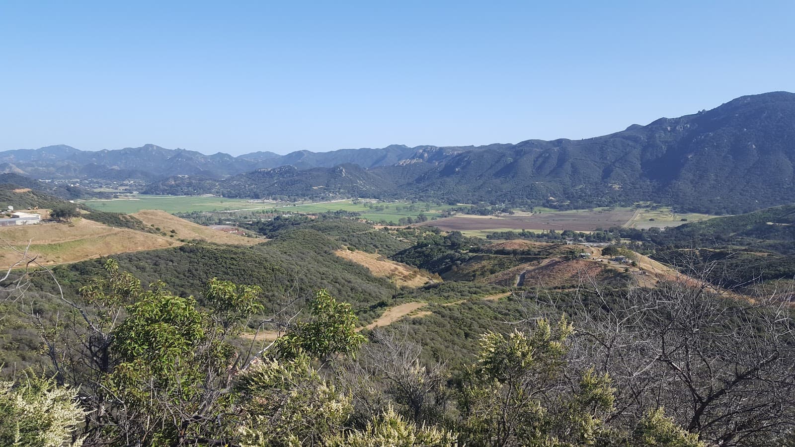 Angel Vista - Image 1