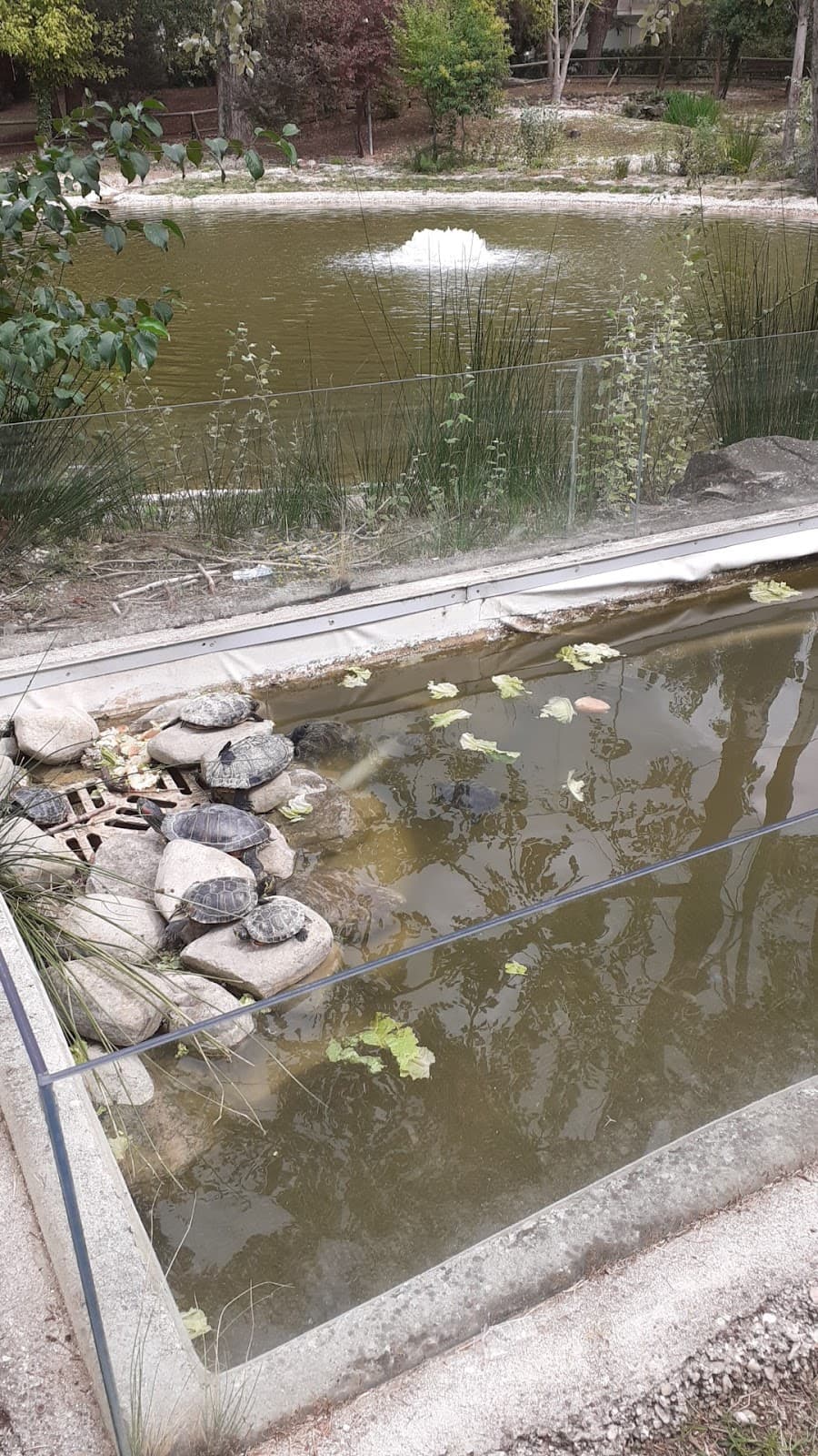 Parco della Resistenza - Image 1