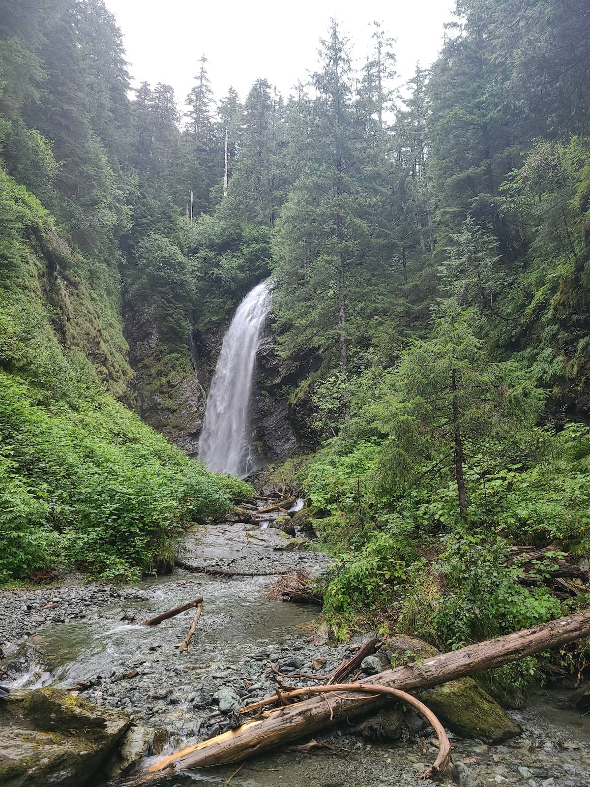 Harbor Mountain Trail