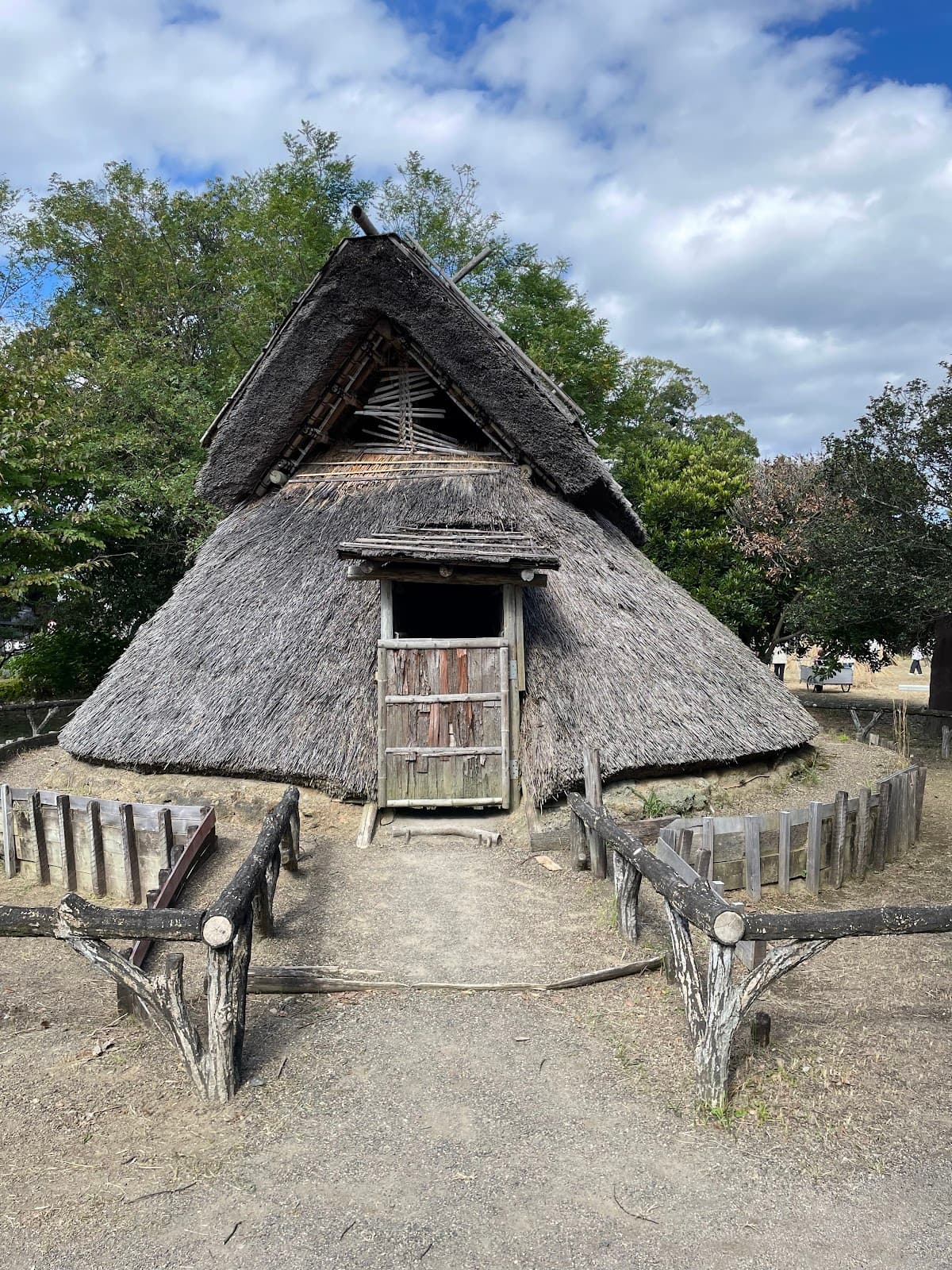 Toro Site (Toro Ruins) - Image 1