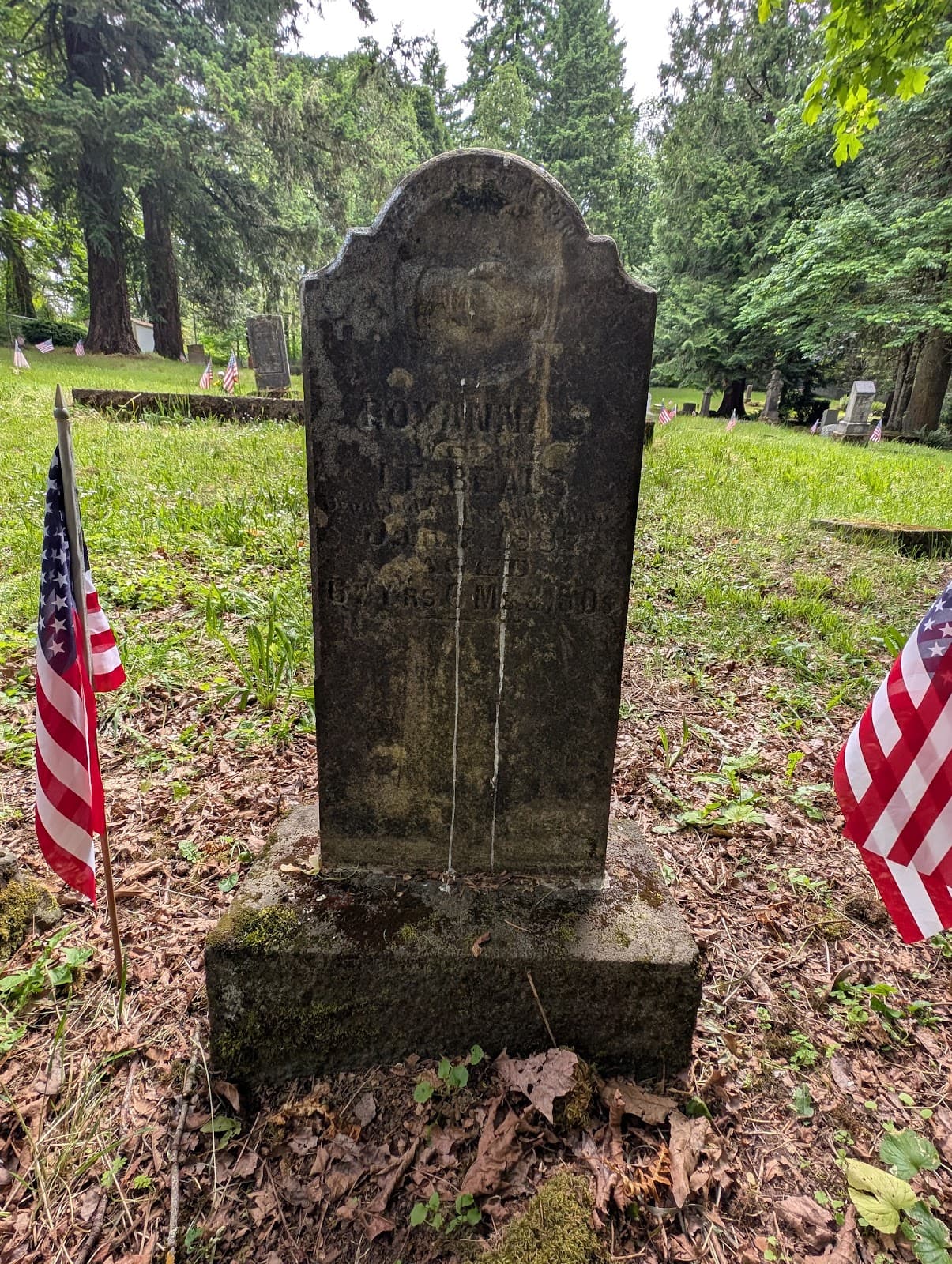 Canemah Pioneer Cemetery - Image 1