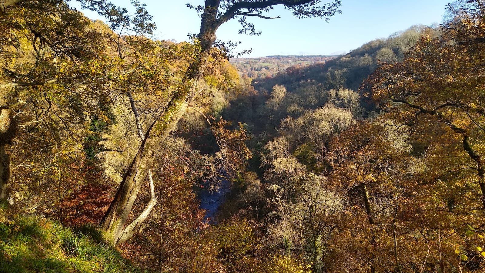 Upper Nethan Gorge NNR - Image 1