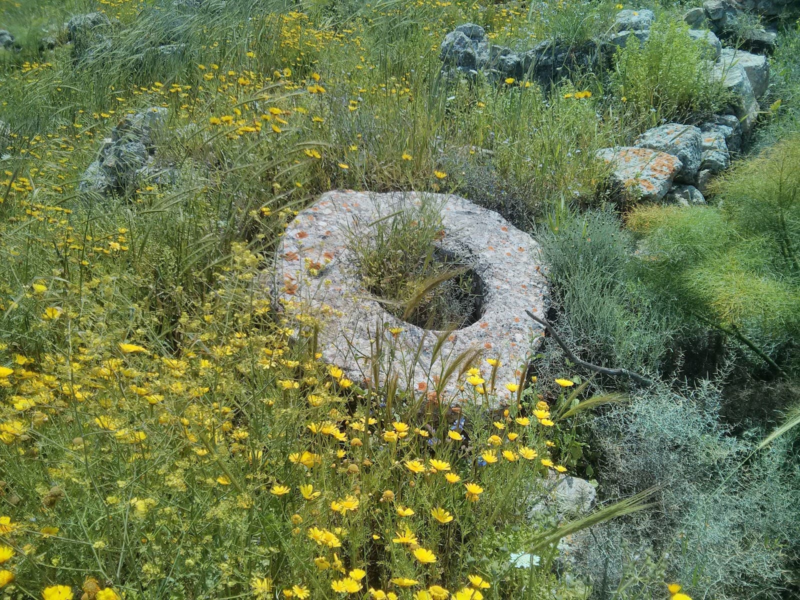 Enkomi Alasia Archaeological Site - Image 1