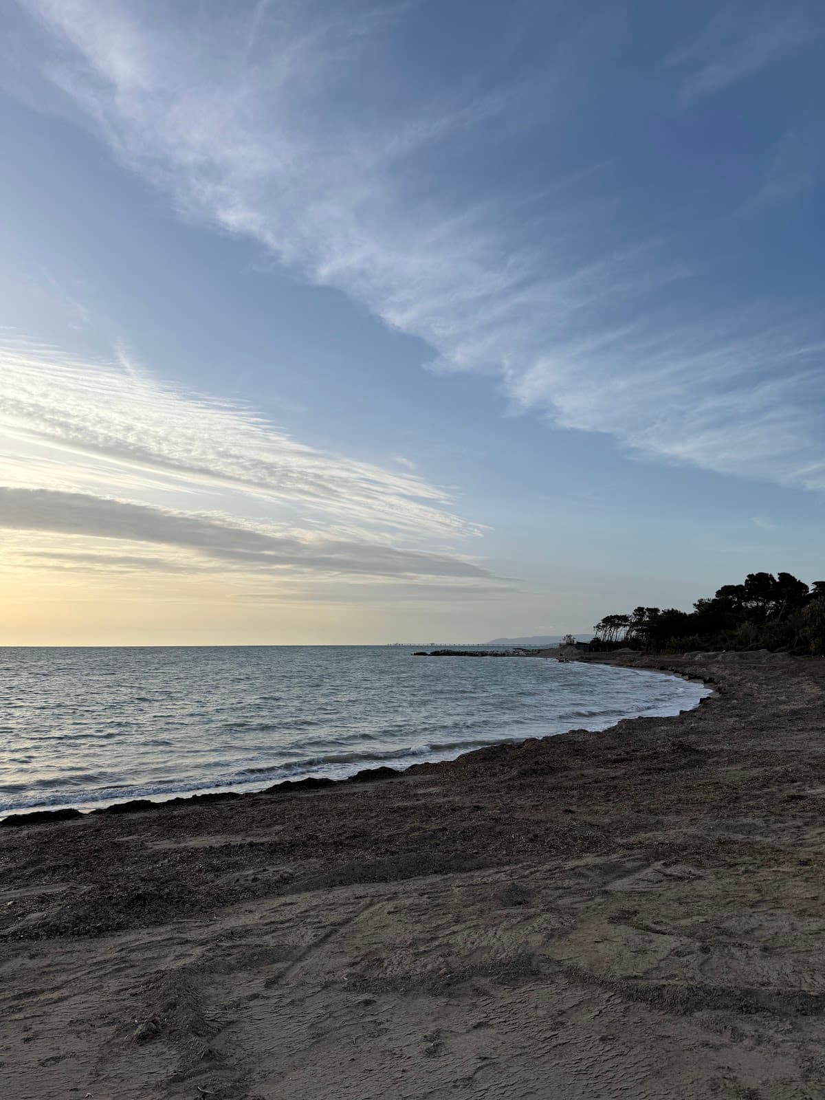 La Mazzanta Beach - Image 1