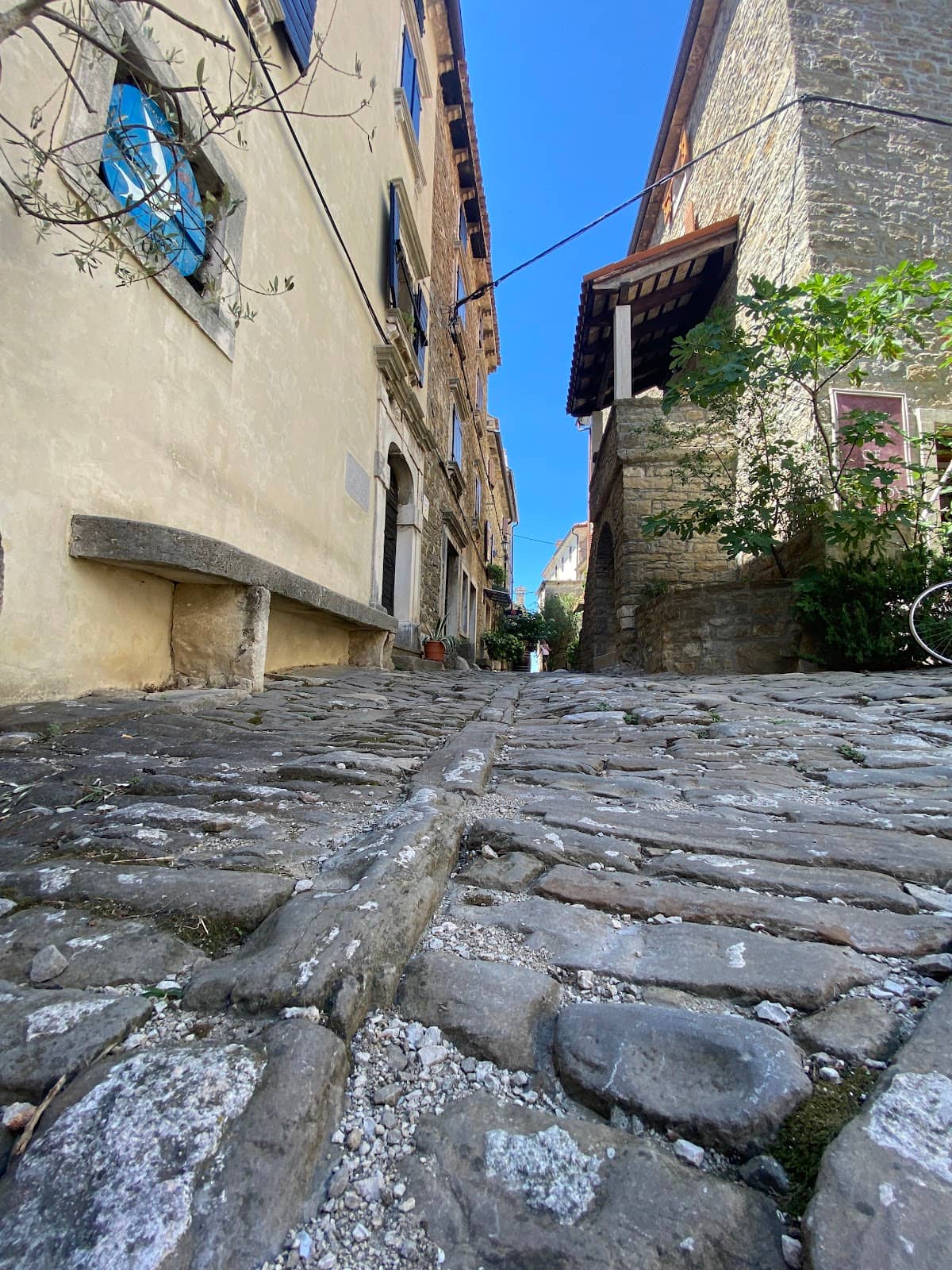 Vertical photo