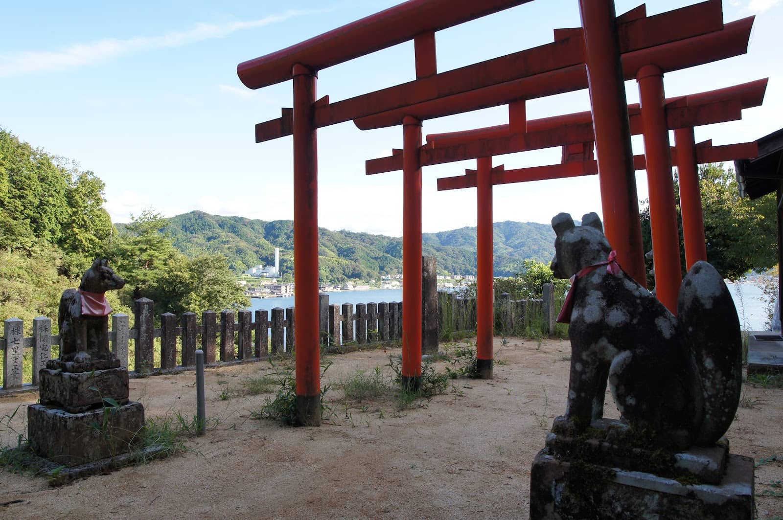 Mitsuba Azalea Blooms
