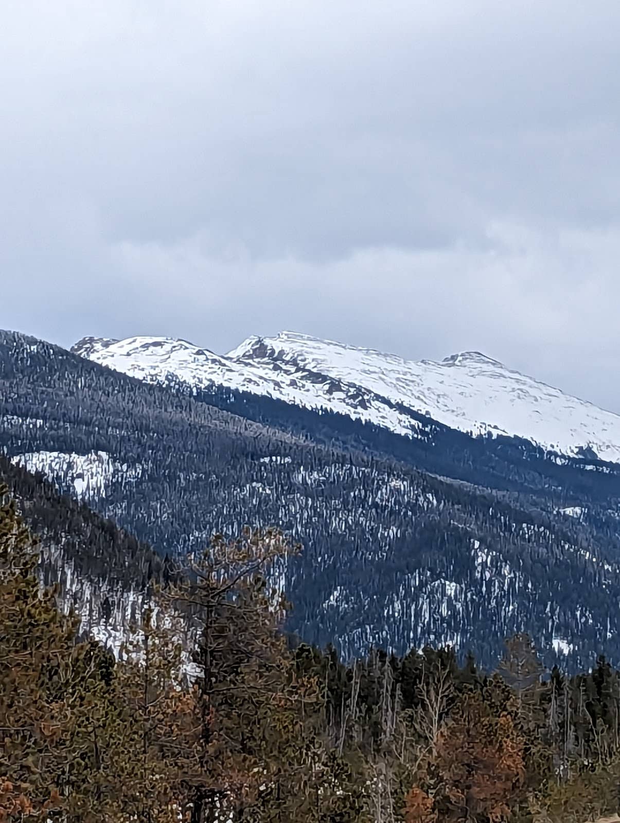 Silver Dollar Lake Trail