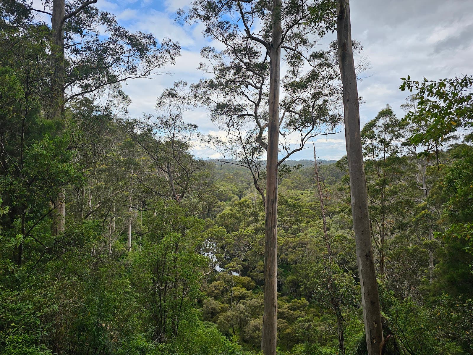 Warren River Lookout - Image 1