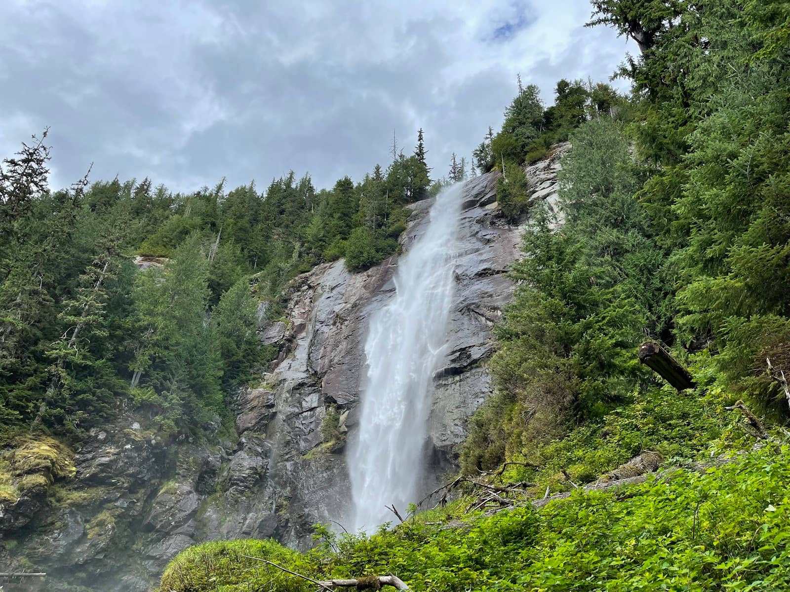 Vertical photo