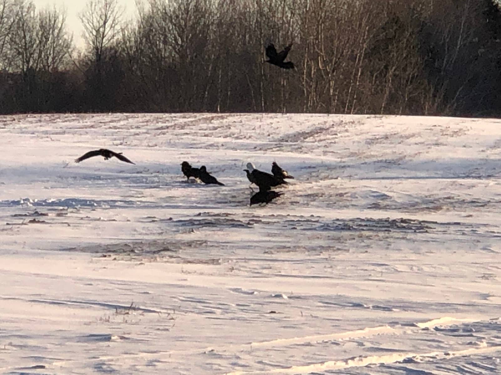 Community Hall Fundraiser