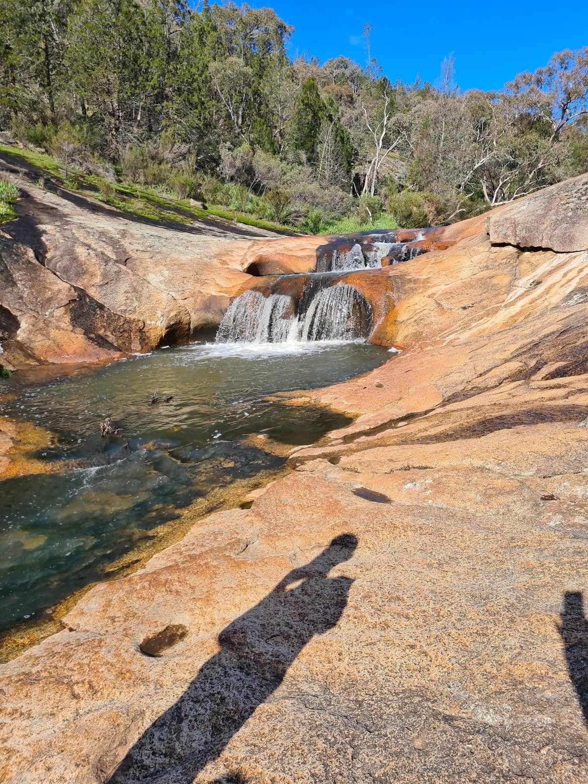 Granite Outcrops and Forest