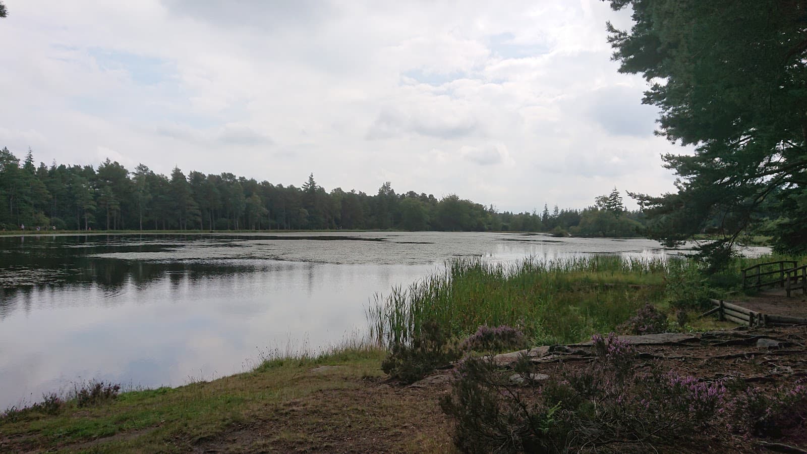 Cragside - Image 1