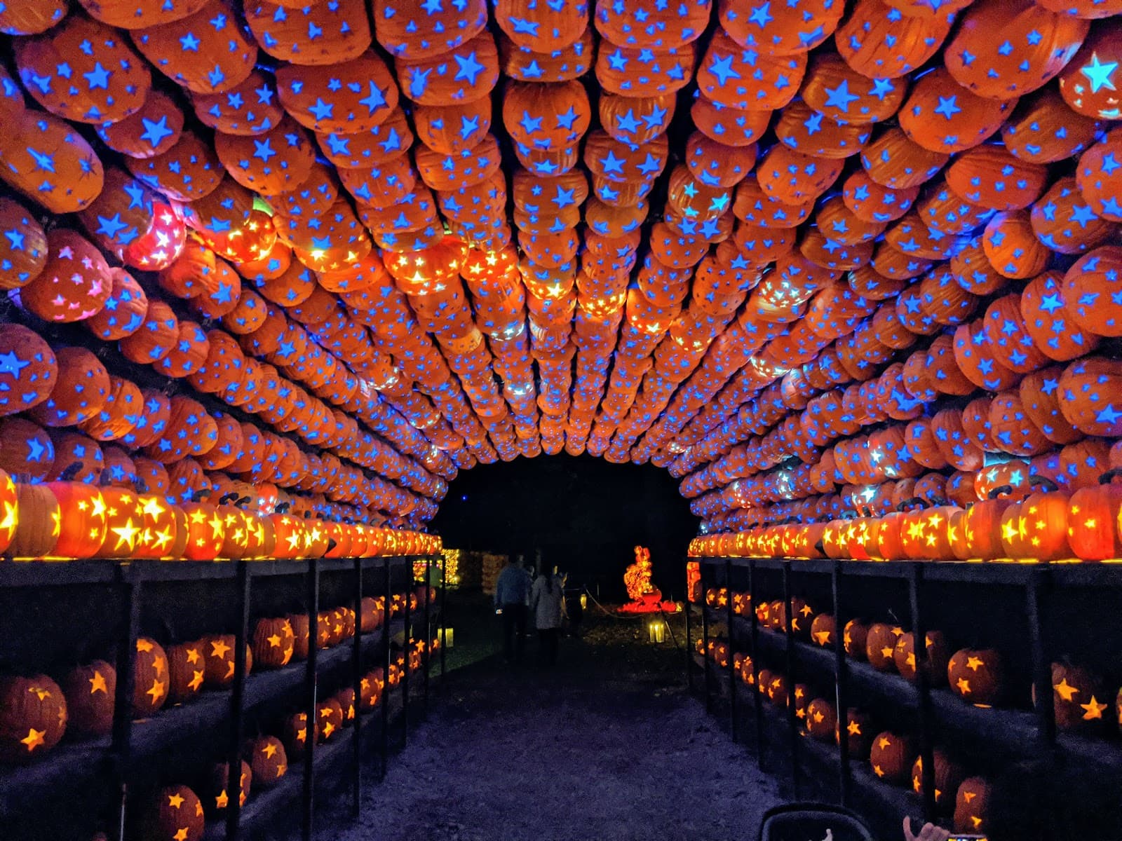 Great Jack O'Lantern Blaze - Image 1