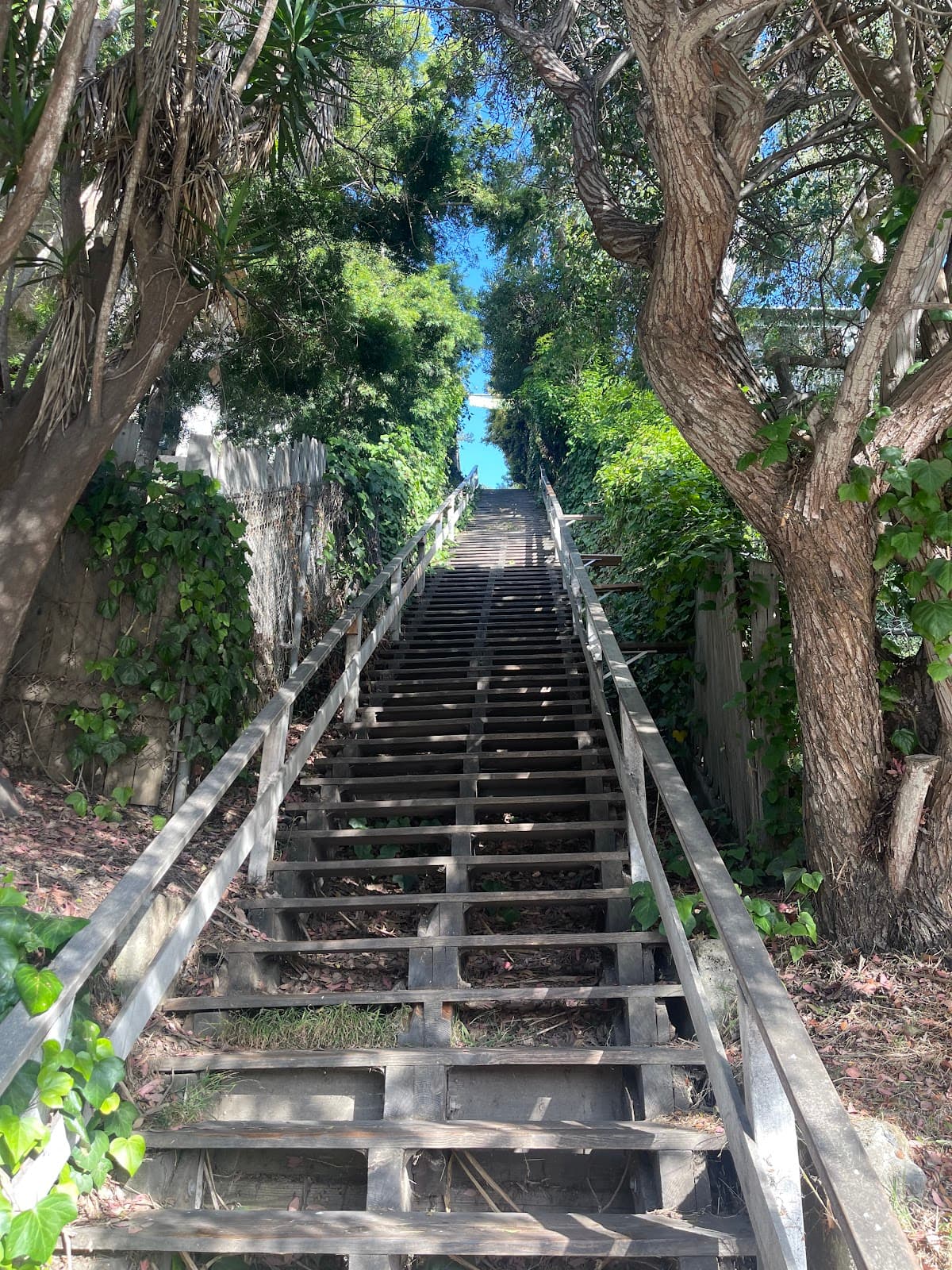 Santa Monica Stairs - Image 1