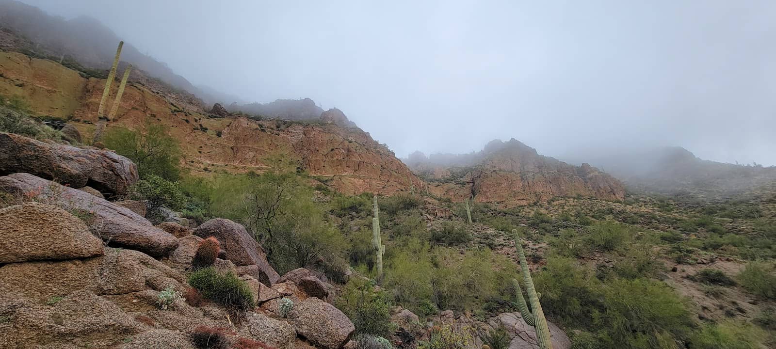 Vivid Granite Cliffs