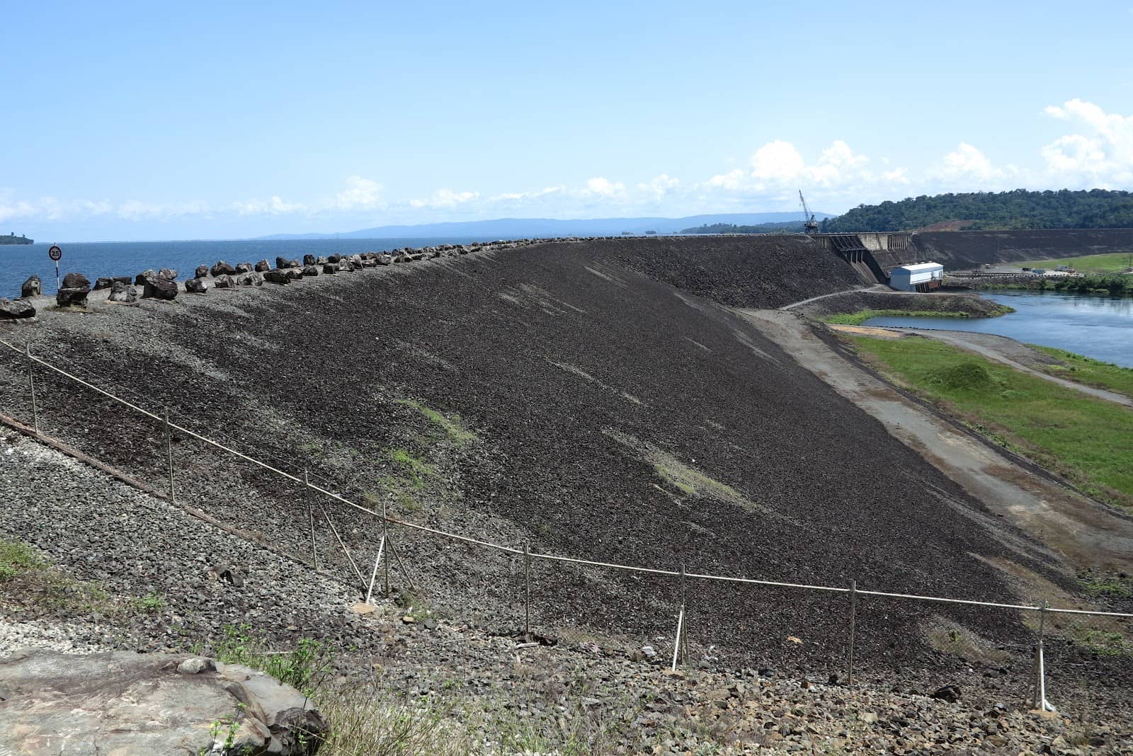 Rainforest Immersion