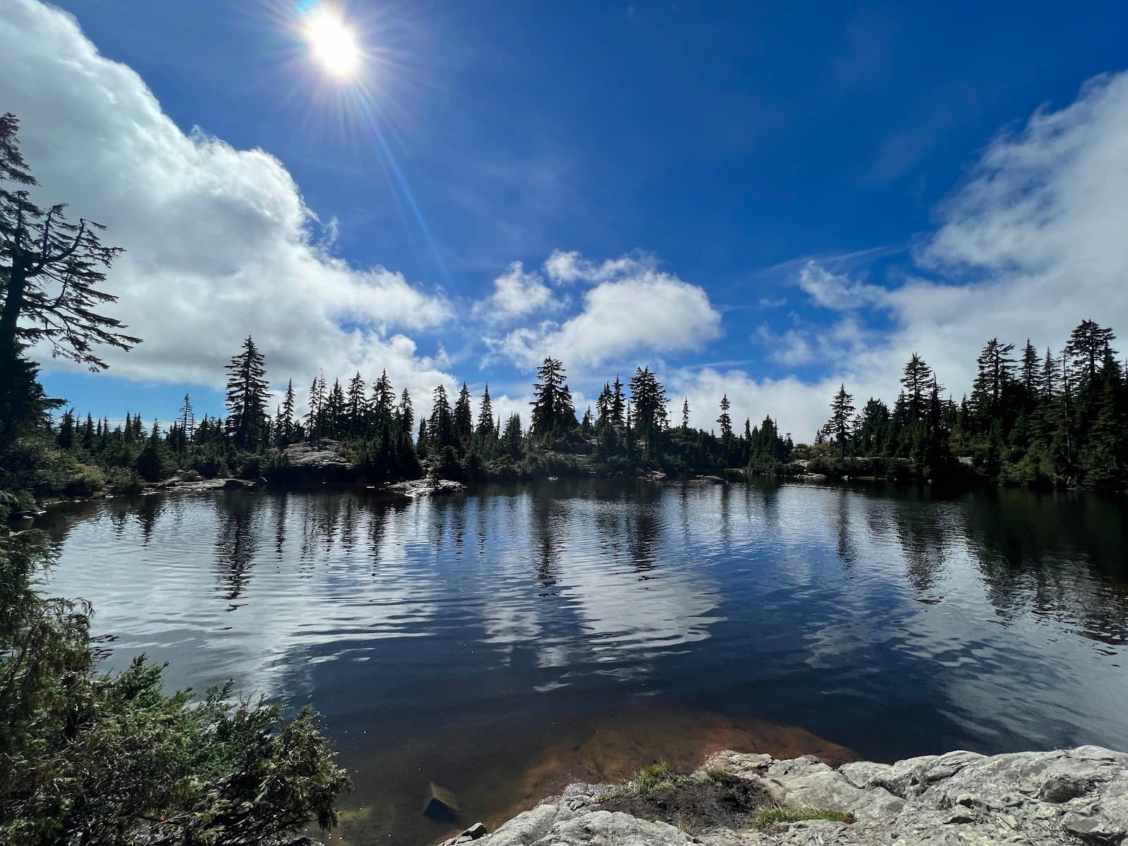 Scenic Forest Hike