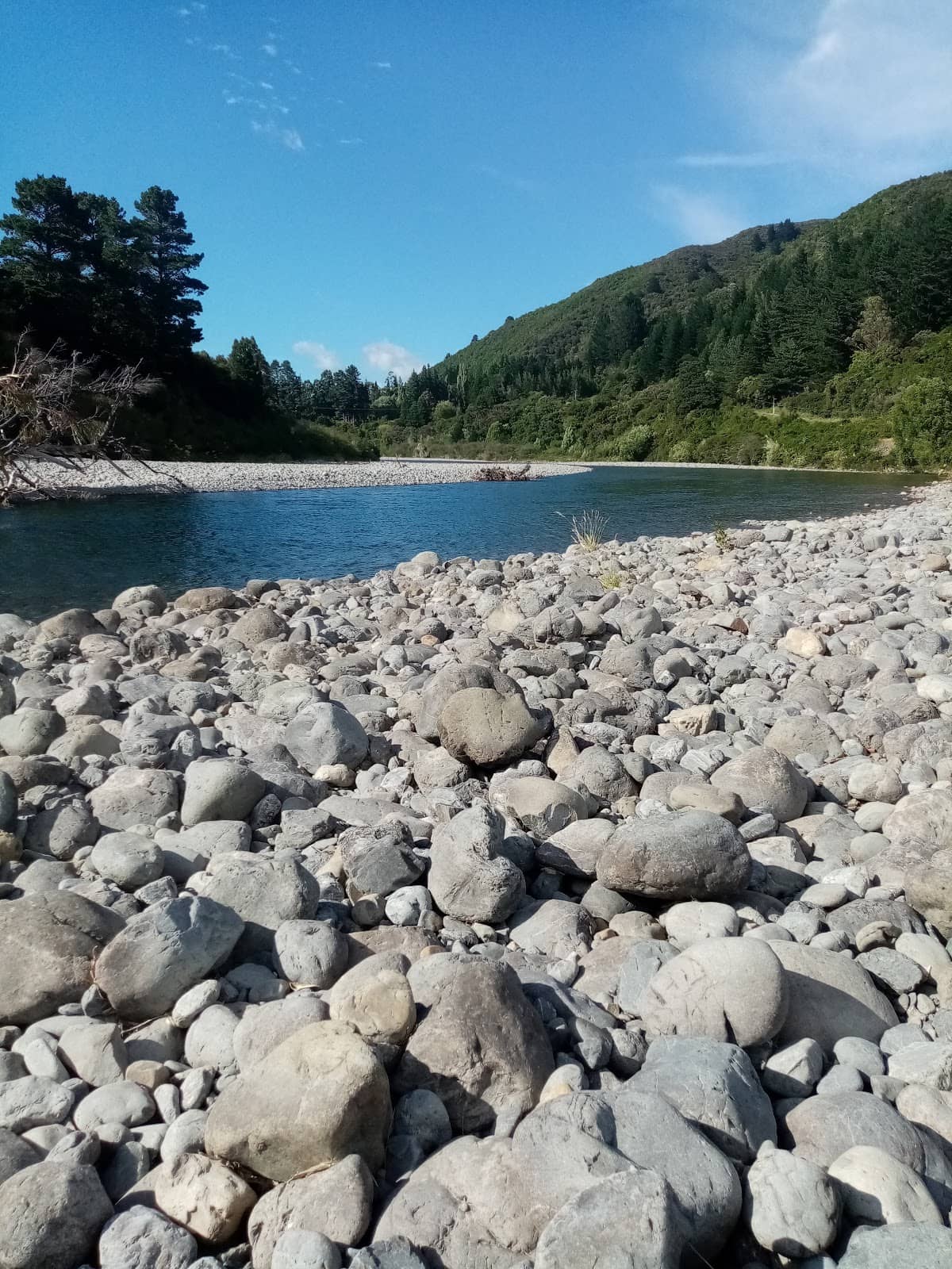 Mrs Blackwell's Village Bookshop