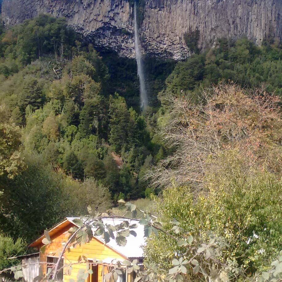 Vertical photo