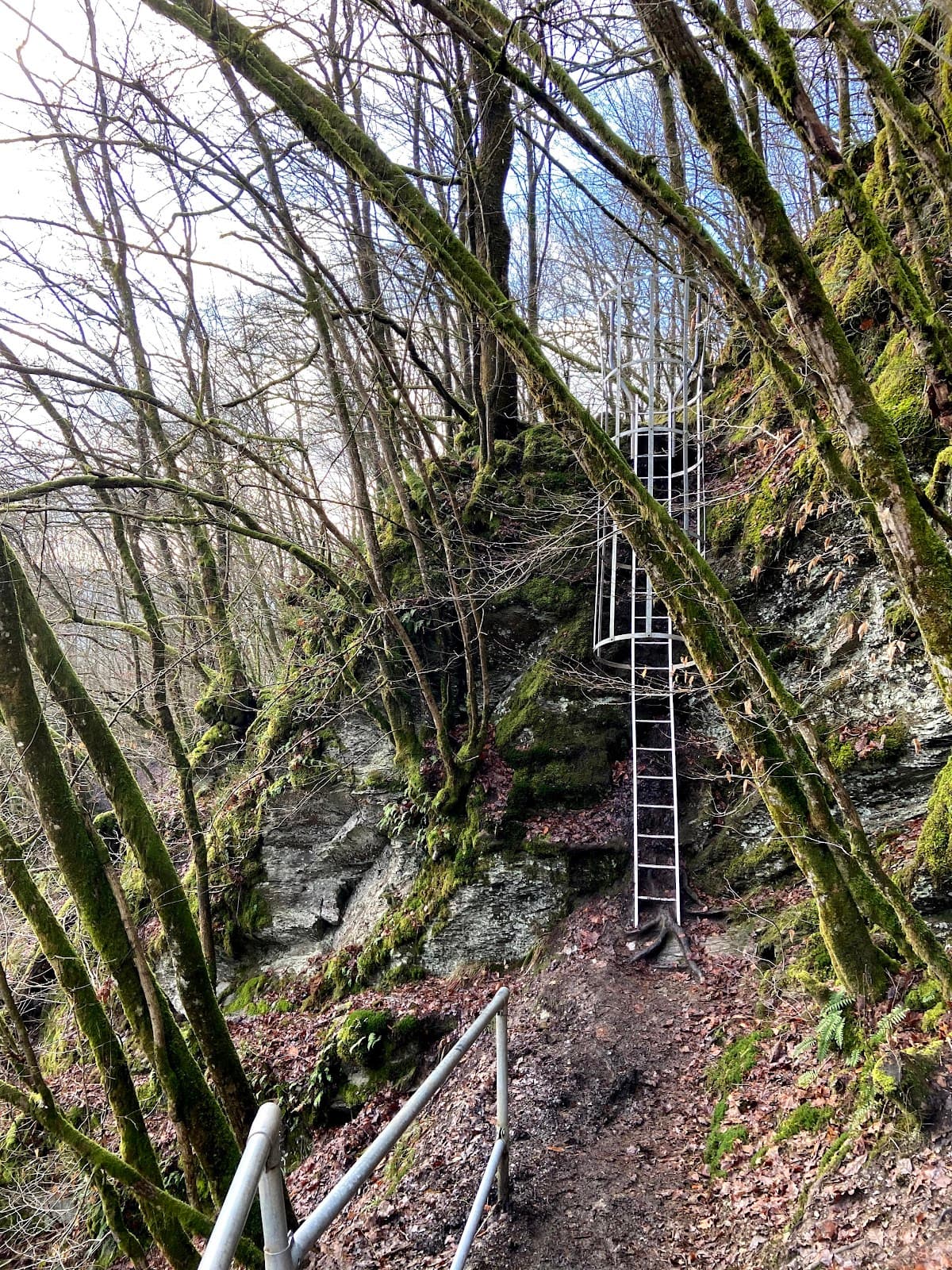 Semois Valley Trail Bouillon - Image 1