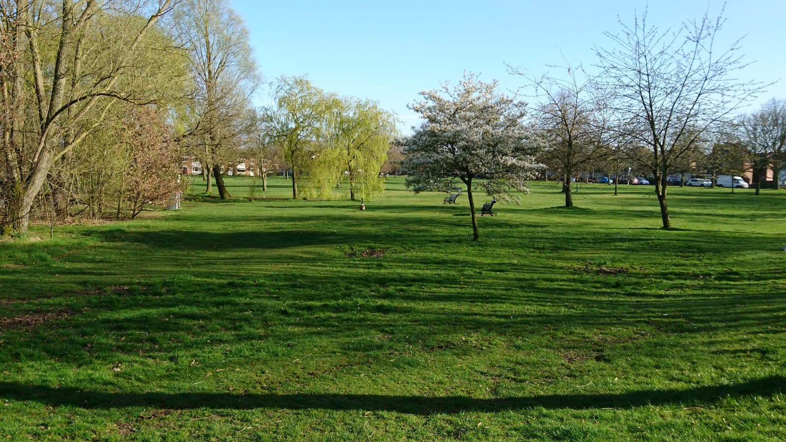 Pelsall Common - Image 1