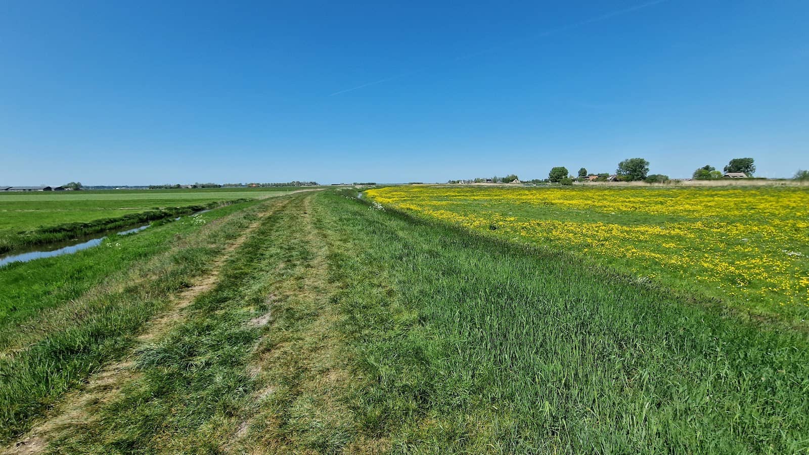 Panoramic Polder Views