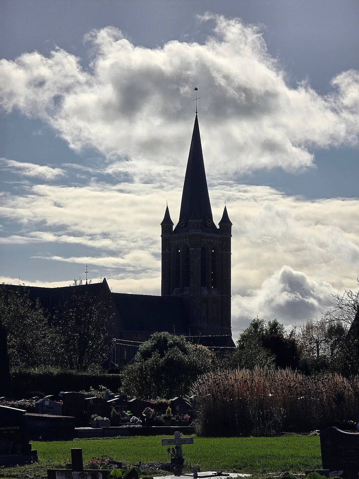Vertical photo