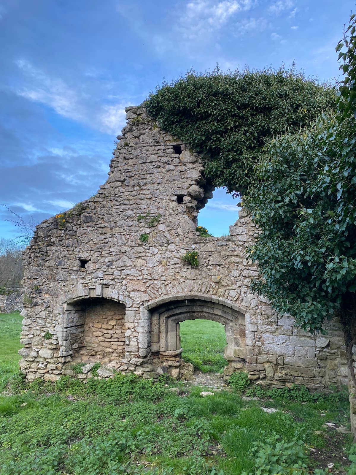 Abbey Ruins Viewpoint
