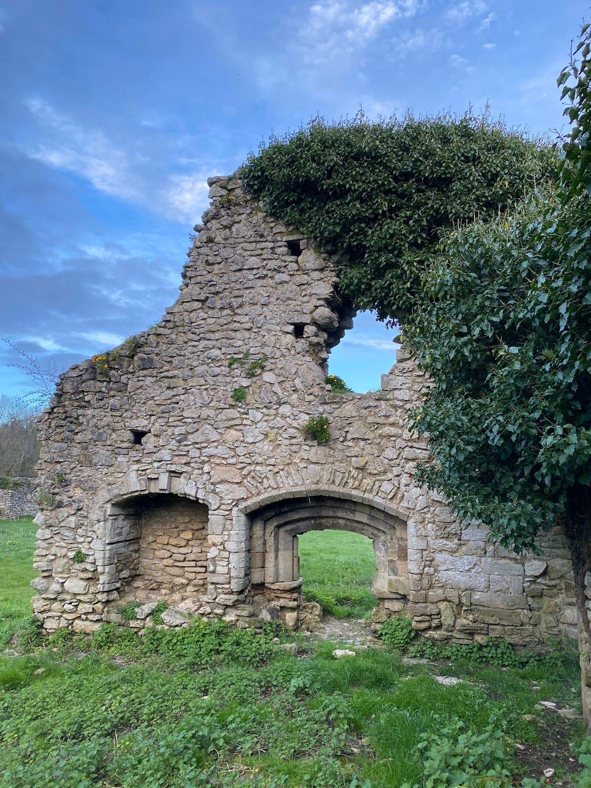 Quarr Abbey Woodland Walks Isle of Wight - Image 1