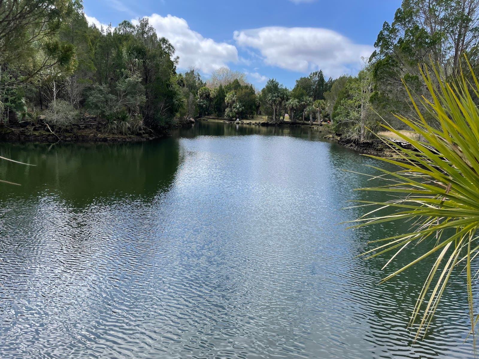 Crystal River Preserve Mullet Hole Trail - Image 1