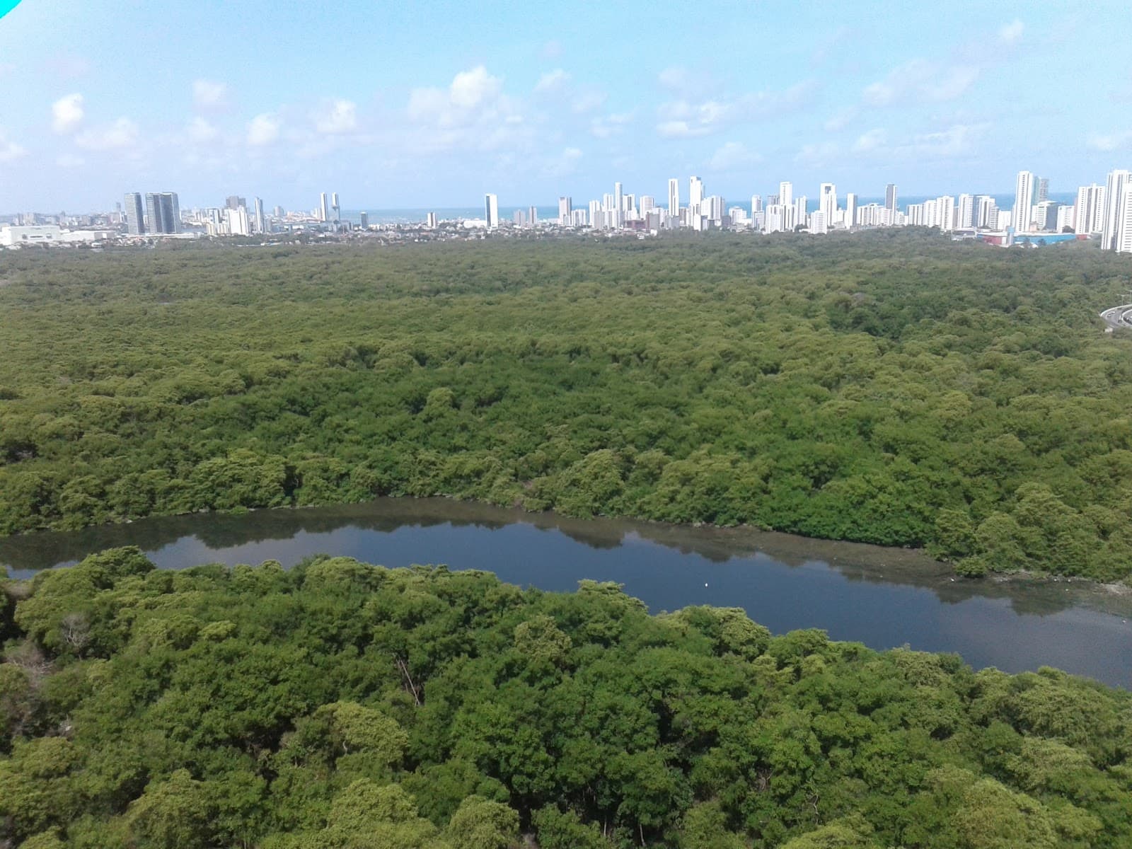 Parque dos Manguezais - Image 1