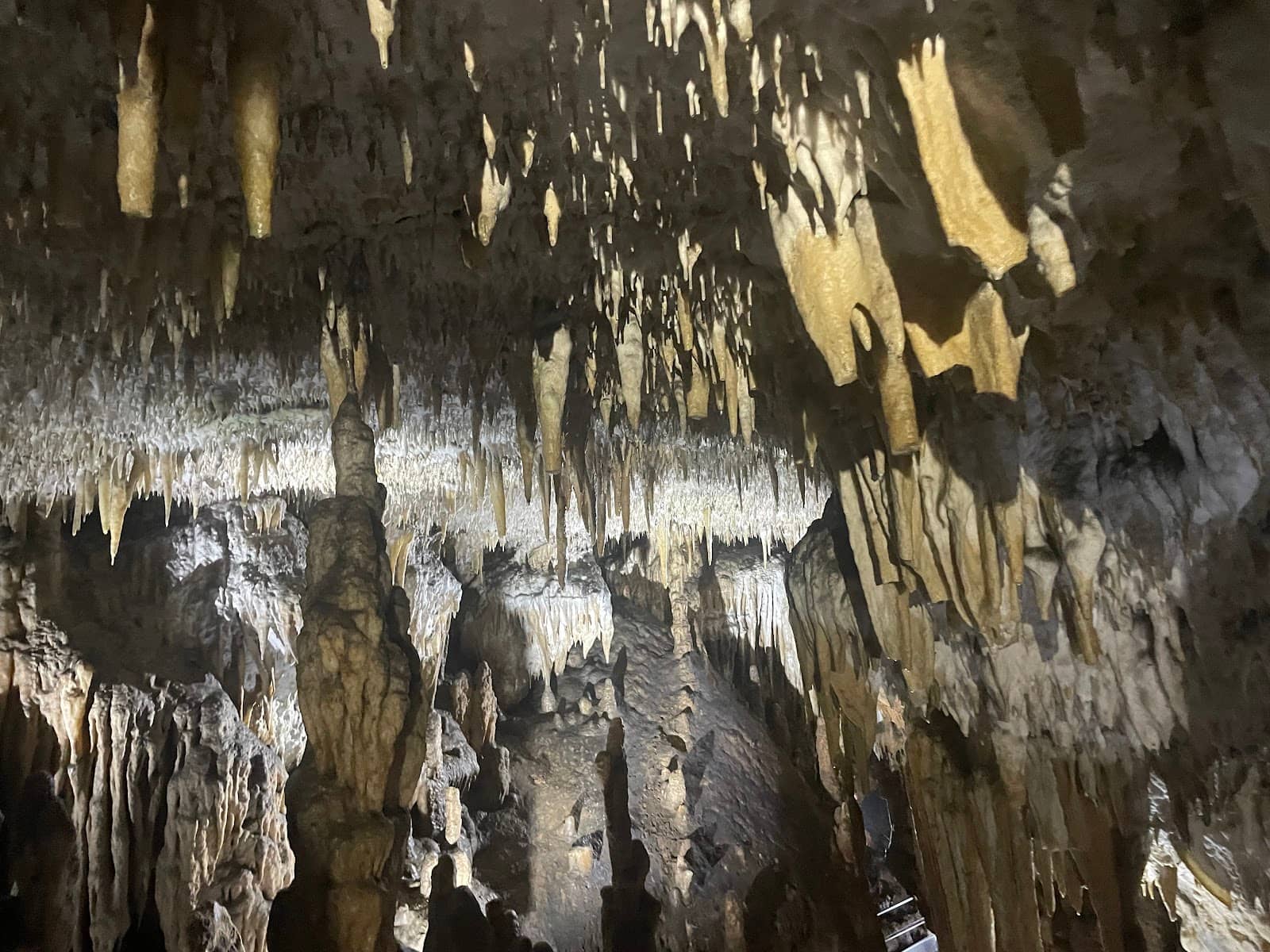 Surrounding Park and Play Facilities