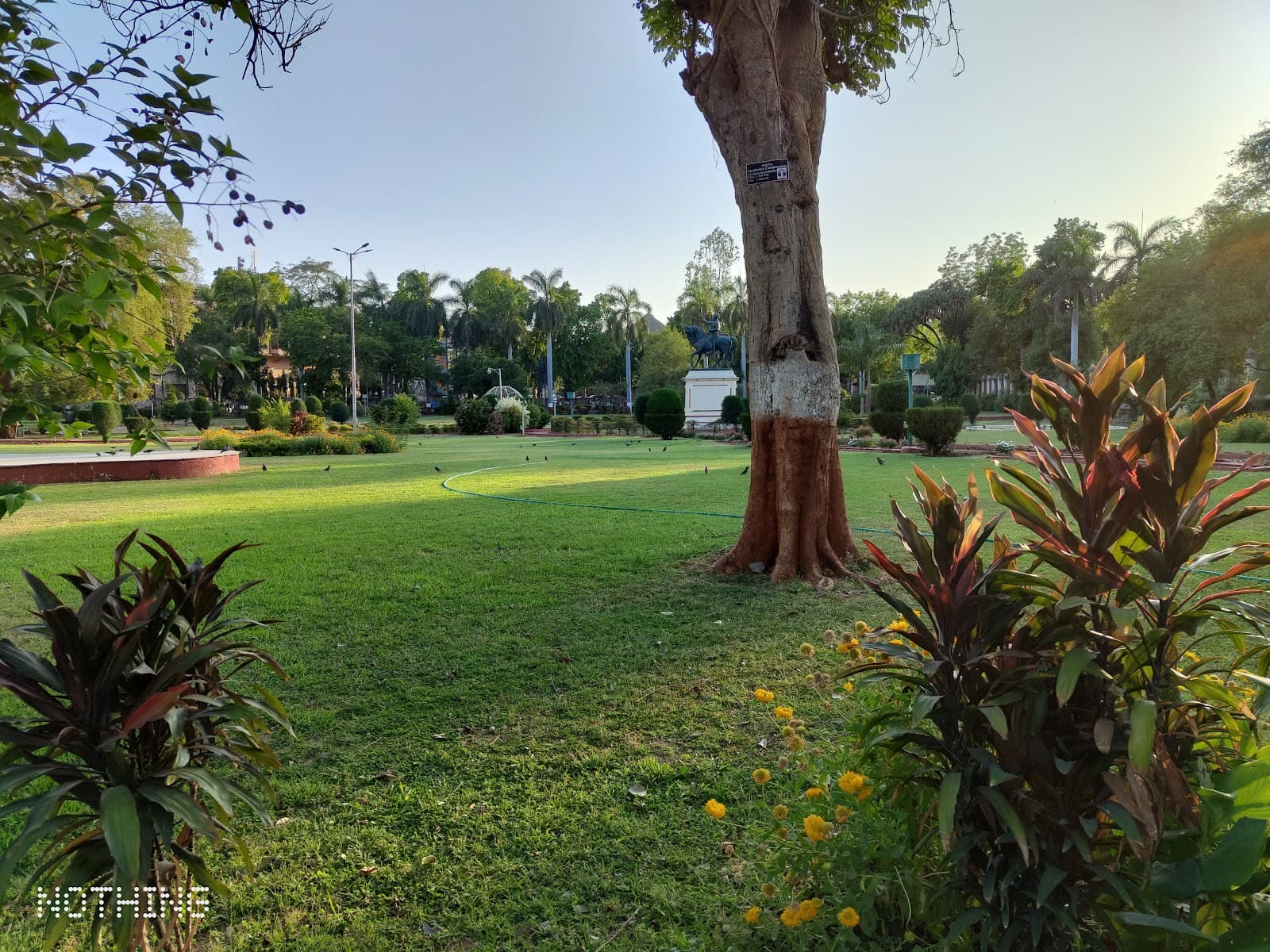 Sayaji Baug (Kamati Baug) - Image 1