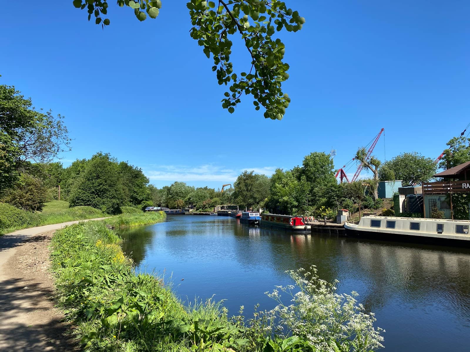 Peaceful Canal Views