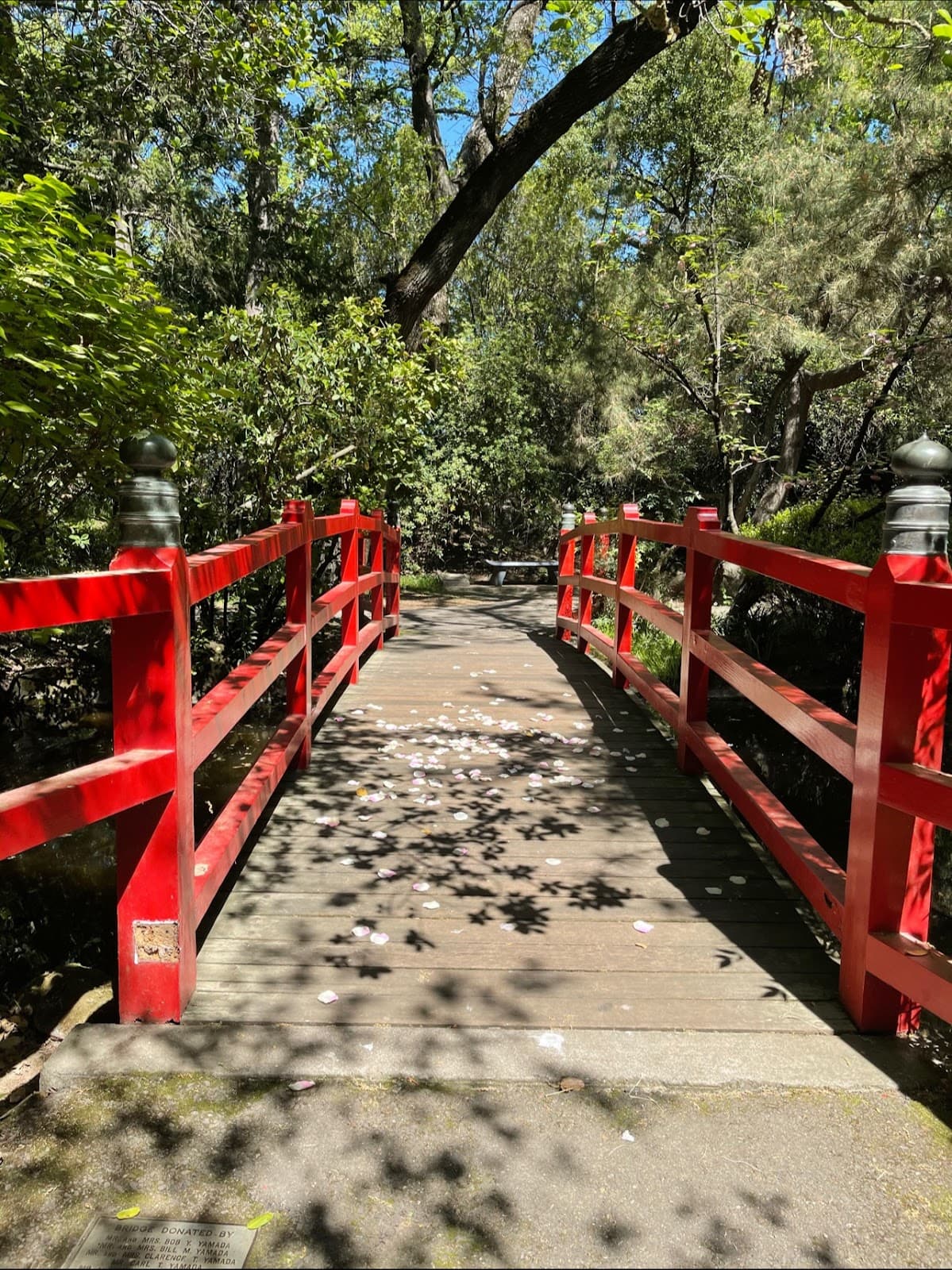 Japanese Garden (Micke Grove) - Image 1