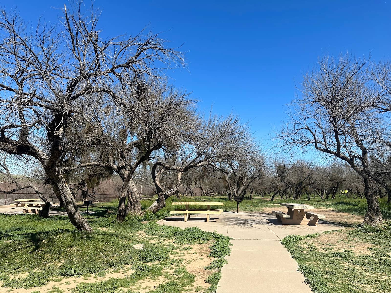 Riverside Relaxation