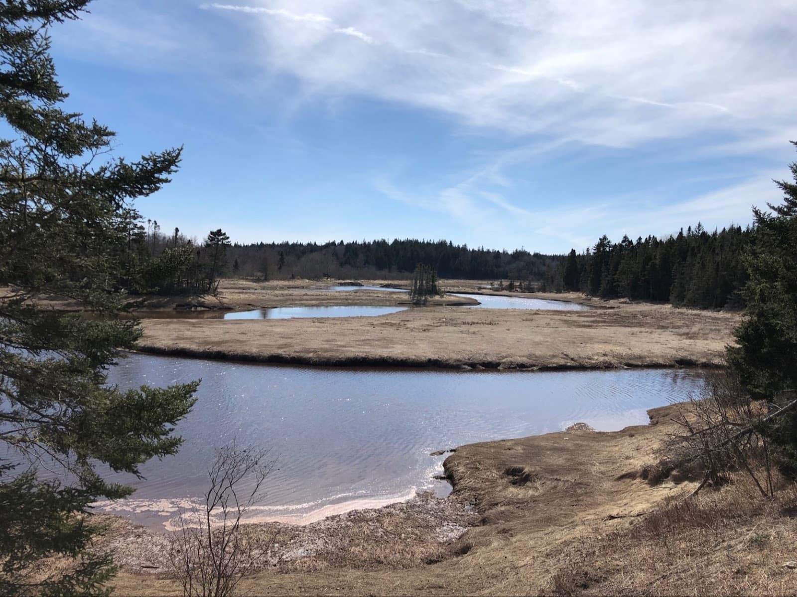 Musquash Estuary Nature Preserve - Image 1