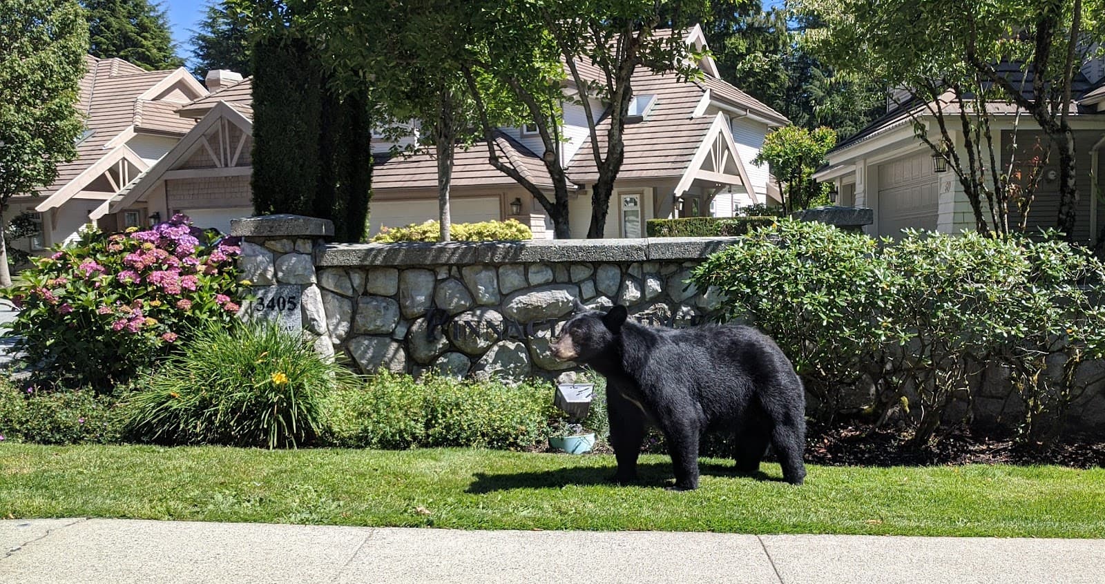 Westwood Plateau - Image 1