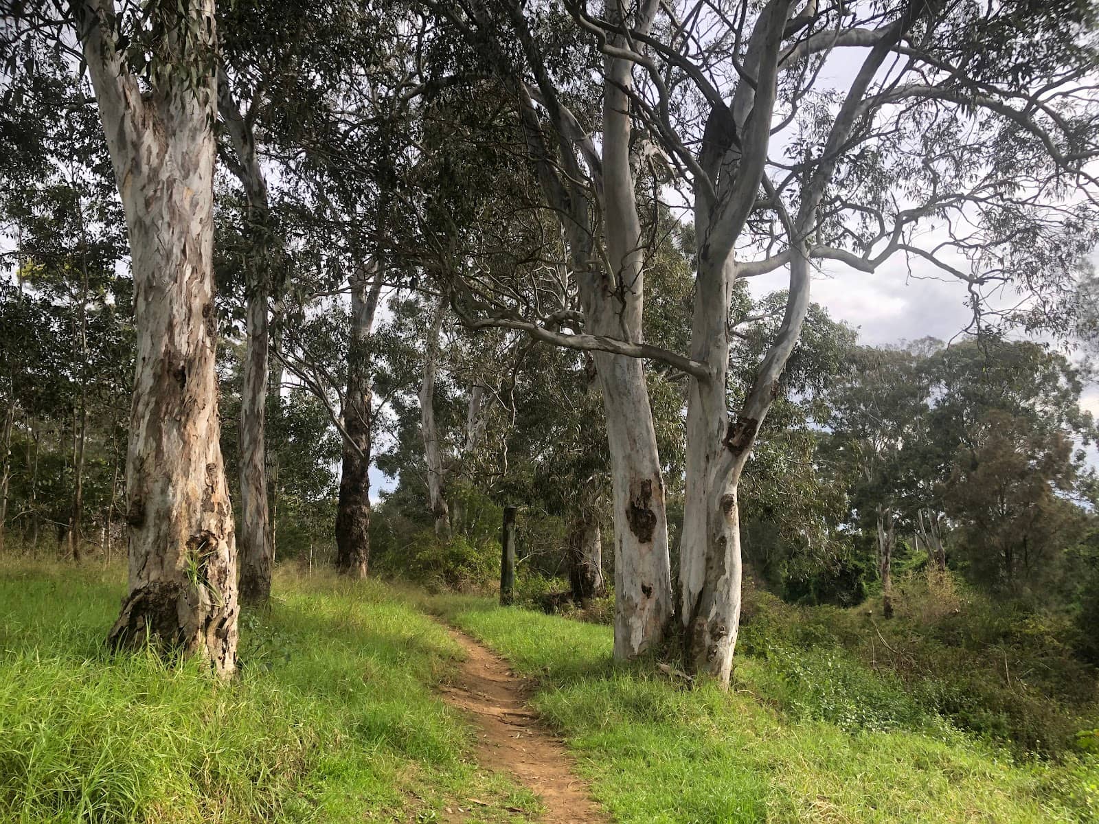 Early Morning Treks