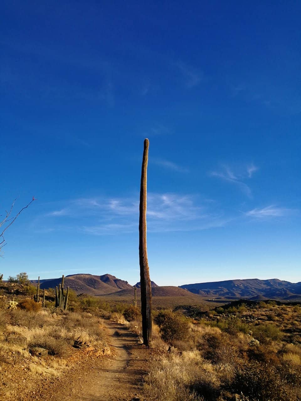 Vertical photo