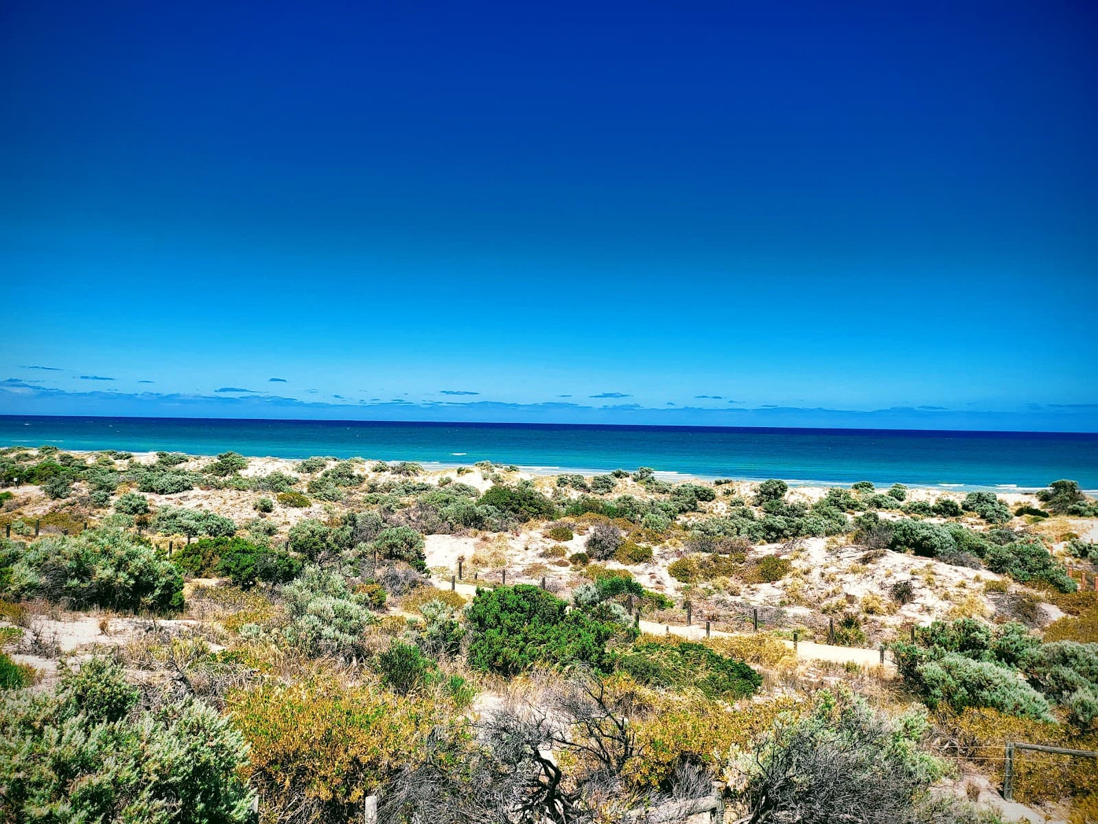 Tennyson Dunes Boardwalk - Image 1