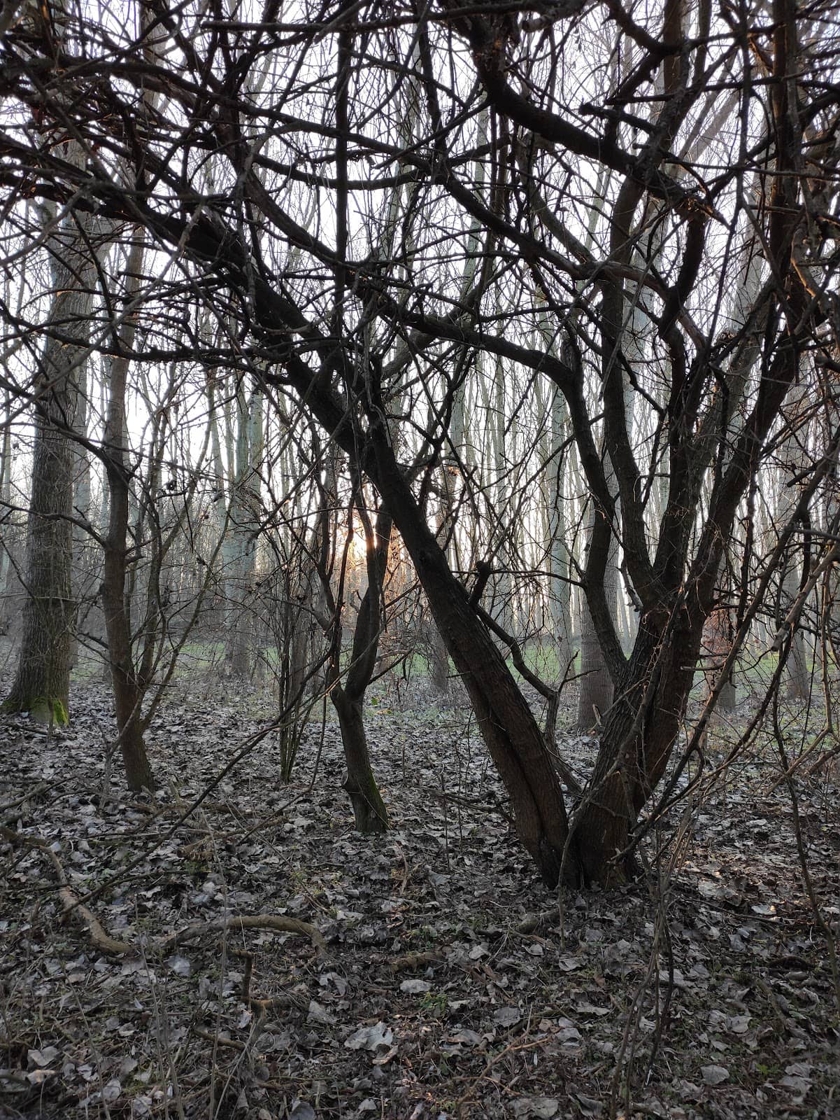 Vertical photo