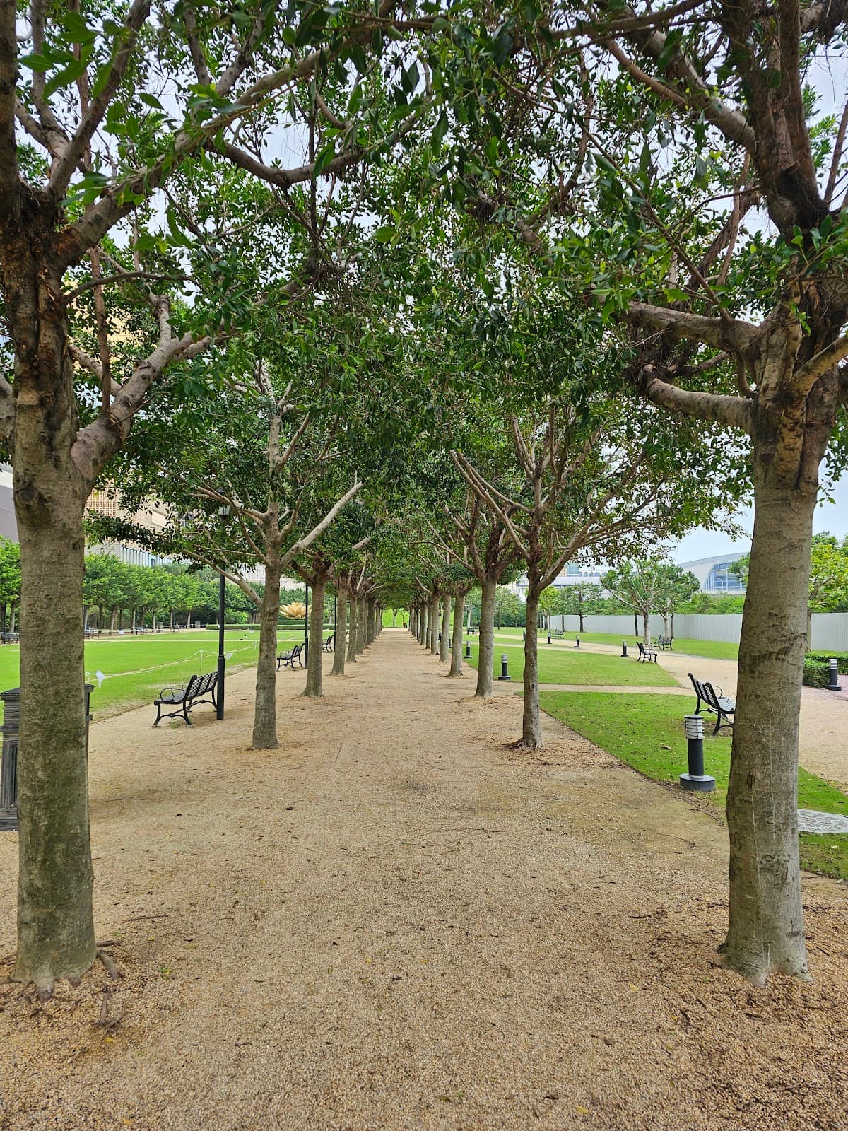 Fountains and Seating Areas