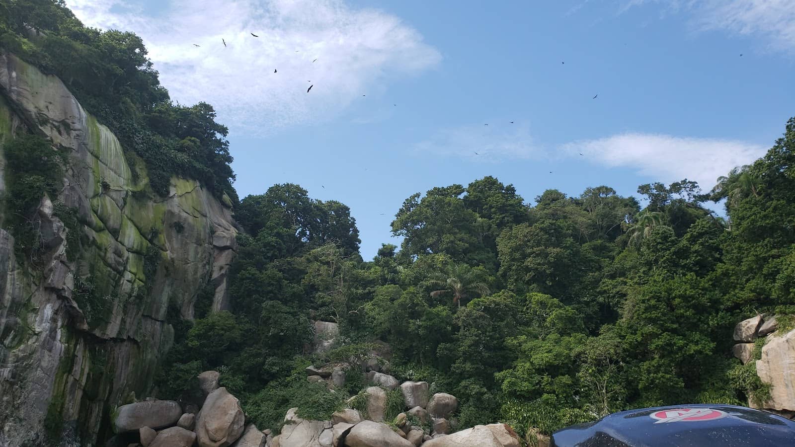 Vertical photo