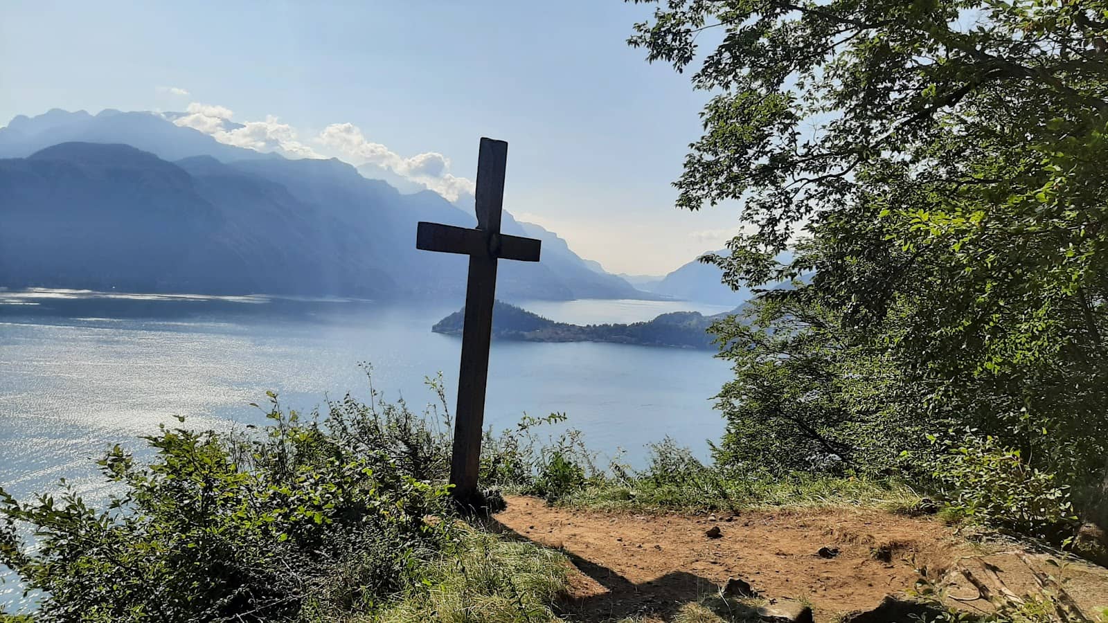 Secluded Forest Hike