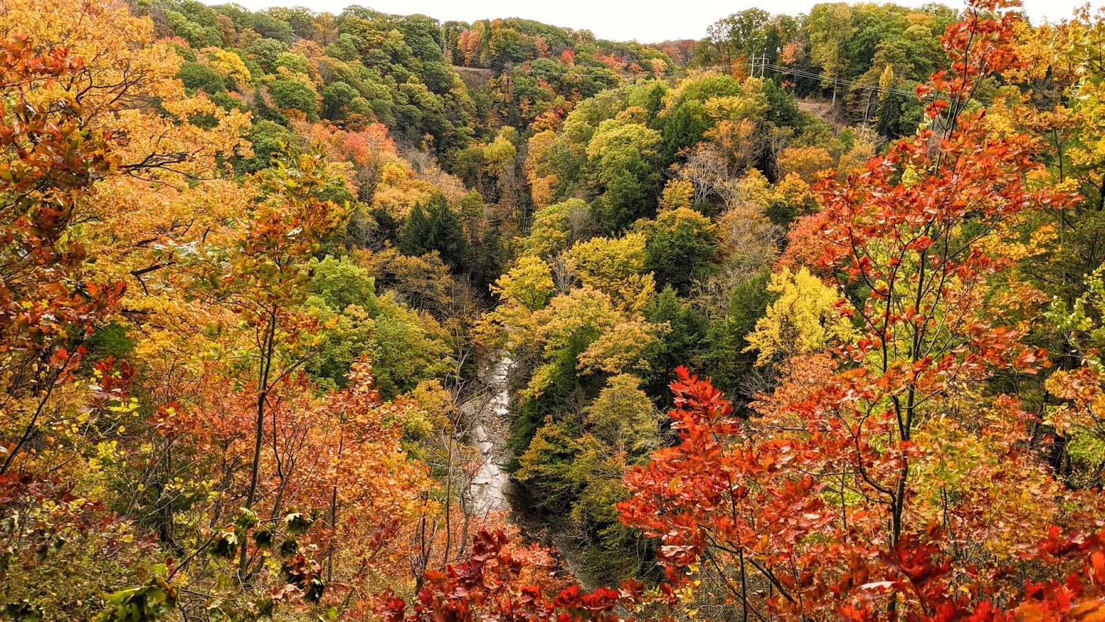 Well-Maintained Trails