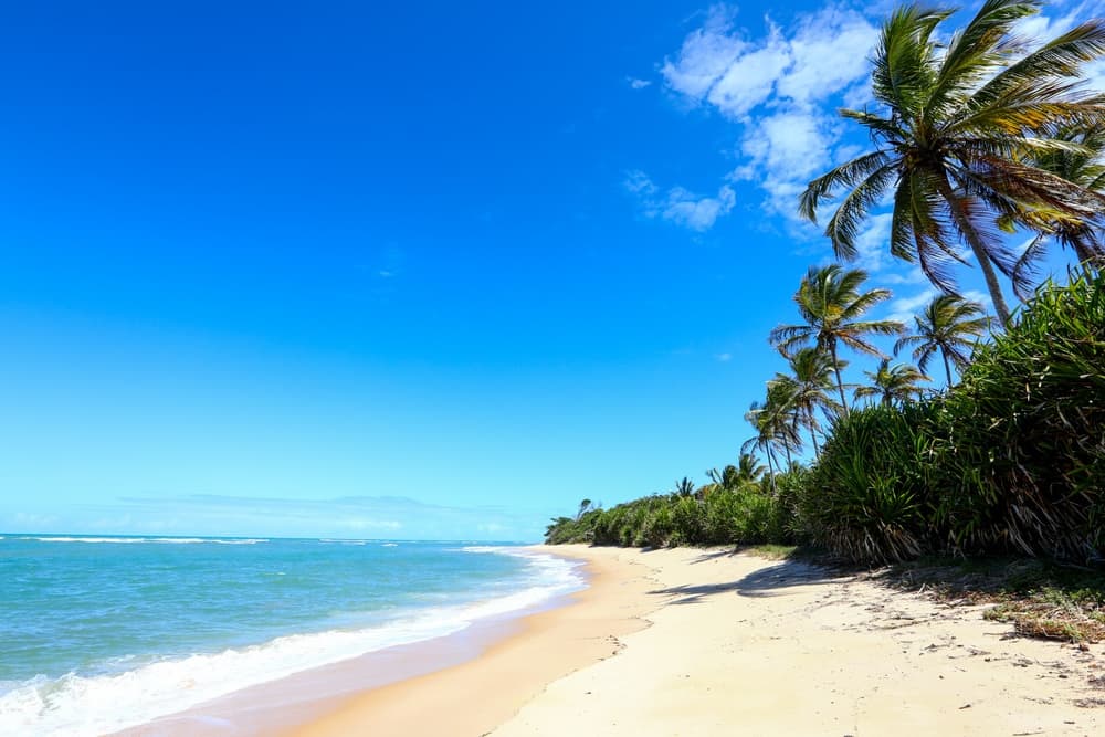 Praia de Itapororoca - Image 1